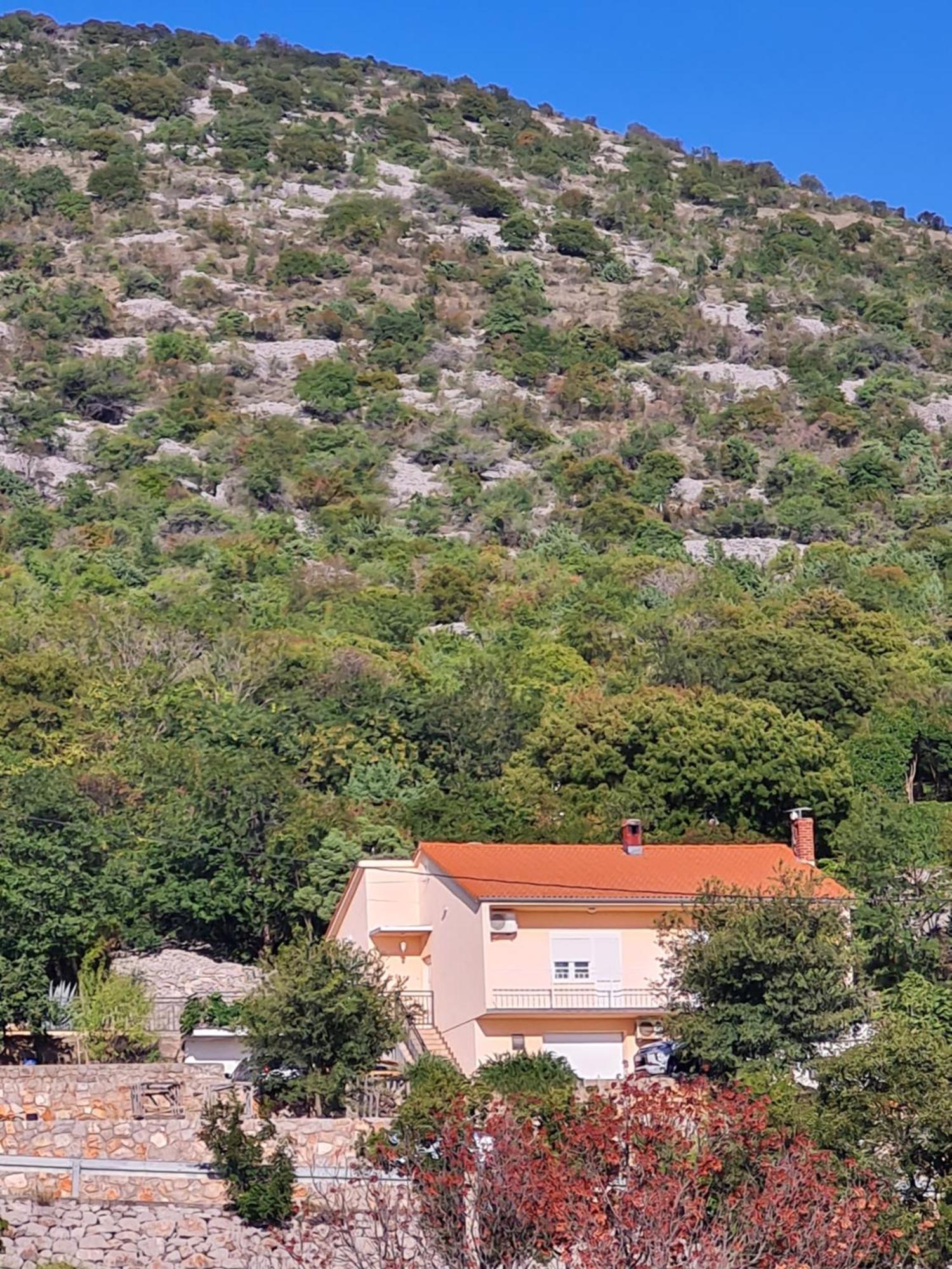 Apartman Luka Klenovica Luaran gambar